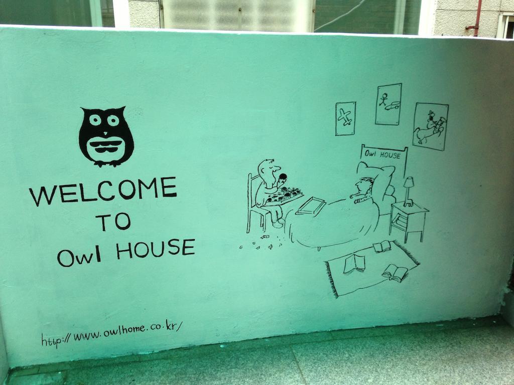 Owl